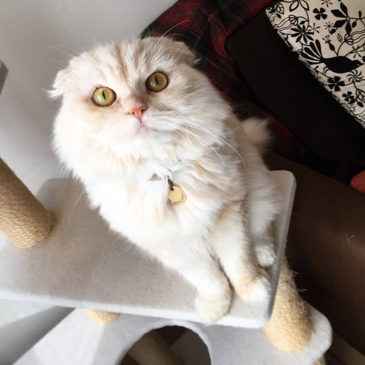 74702f75 ce5c 491e 9a16 69ce6877b62b