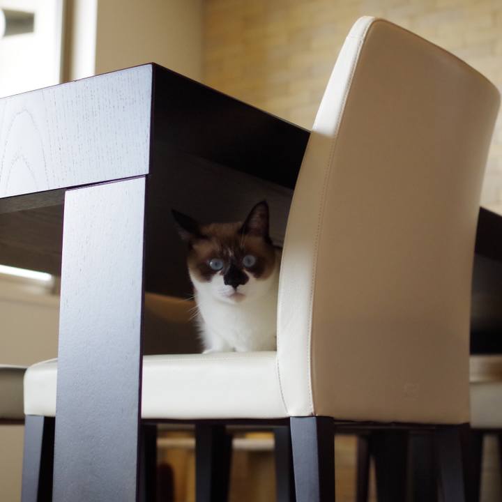 747032e5 6a17 44c7 9520 472a950c4413