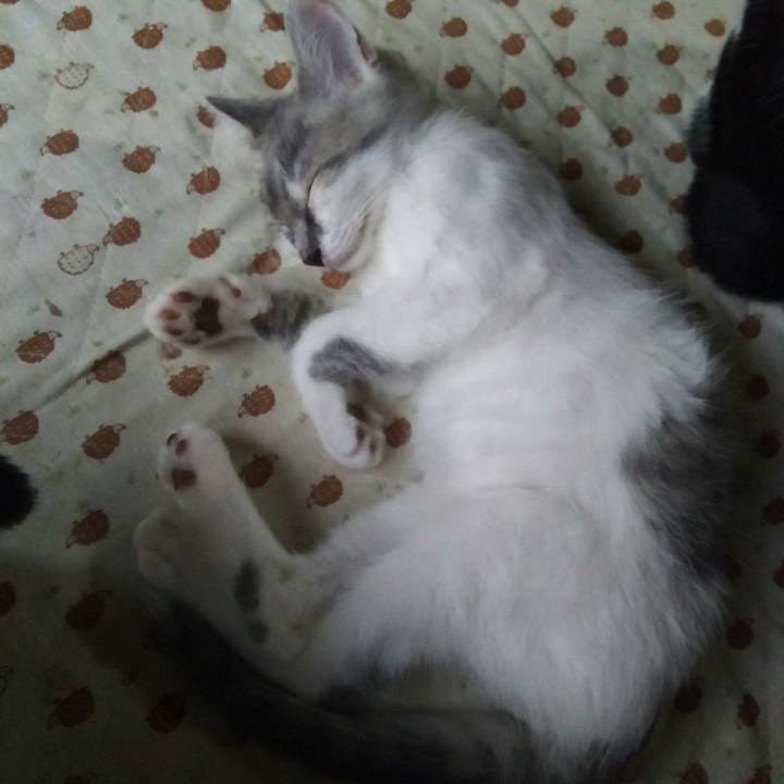 7470d0ce 57a6 4773 bf2a 6d34ee3ecdaa