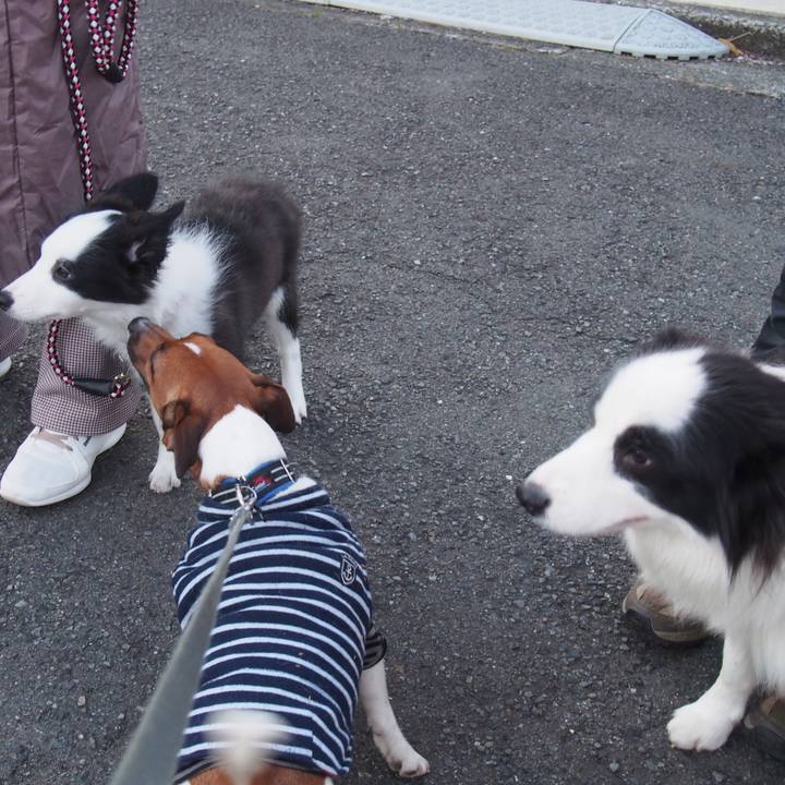 7470ffe0 c9bc 4ade ab73 bad42814d5c9