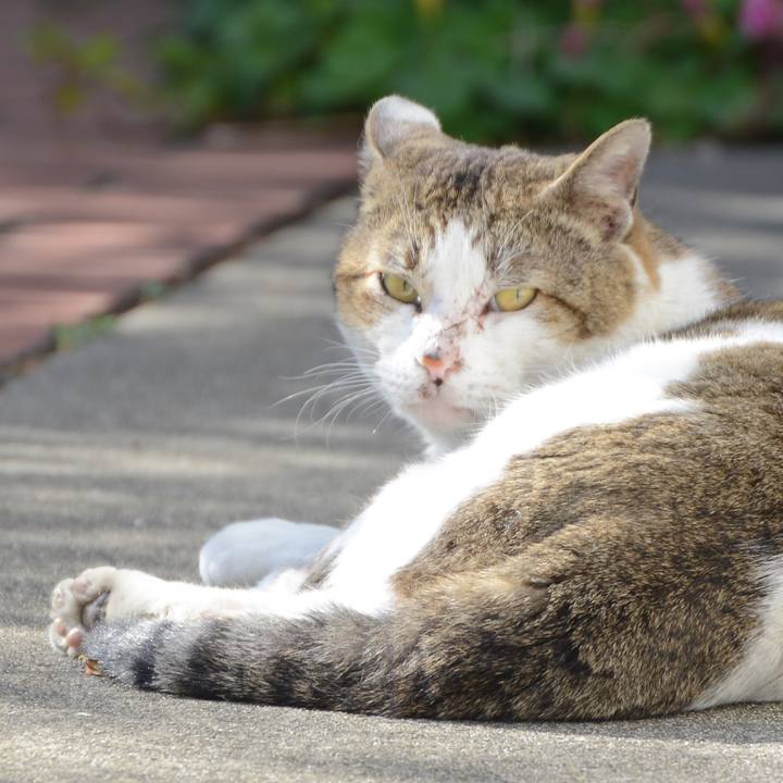 747146fc 3d2d 4042 b889 10c2a2aa5ead