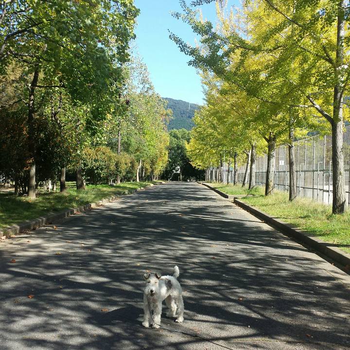 747252cb 1906 4f65 831b b2918898ff5e