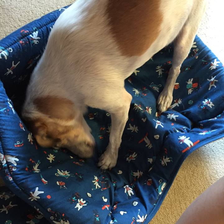 747267e1 2100 4e7f afe5 d8acdf4caa2e