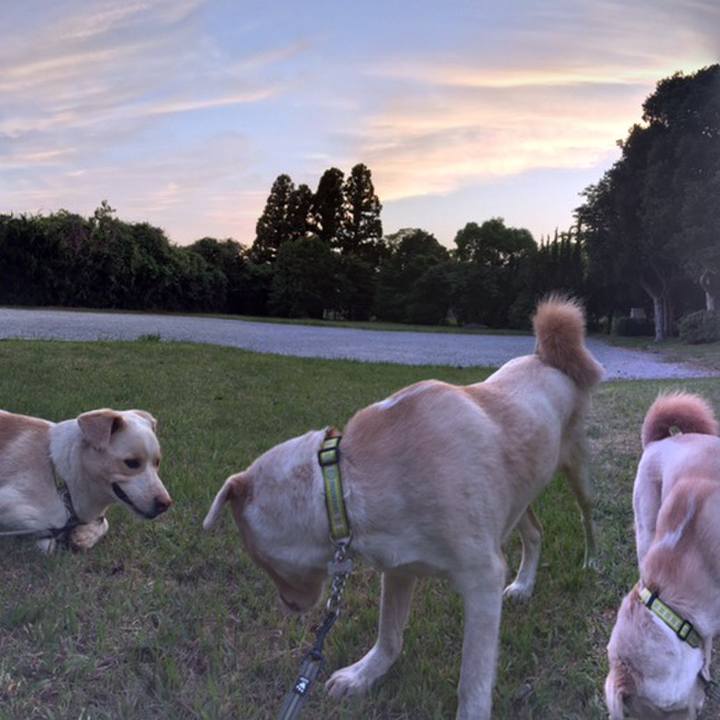 7472b33c b2bf 4594 af6e 3aae4a6310cf