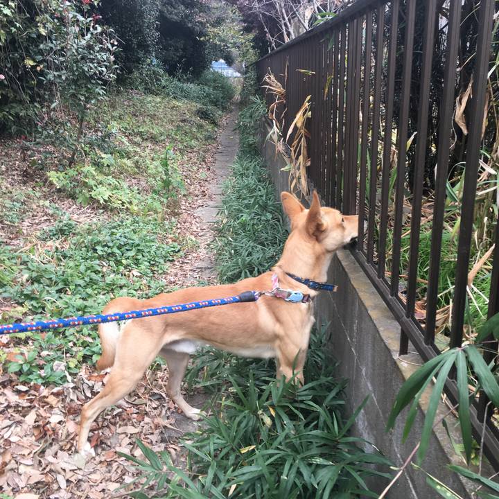 7473de34 4457 4b56 9a6b 54df5cdcf1c7