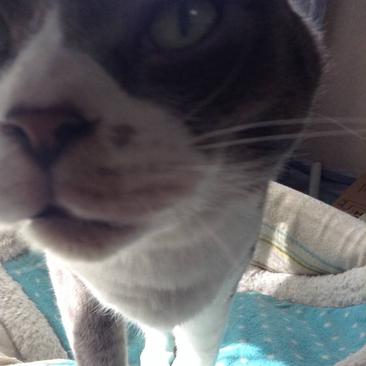 7473ef8e f9b4 4de2 87e3 5b881139e1c4