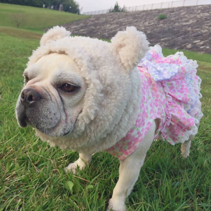 747433d5 abd7 4a6f b809 8911e74aecfa