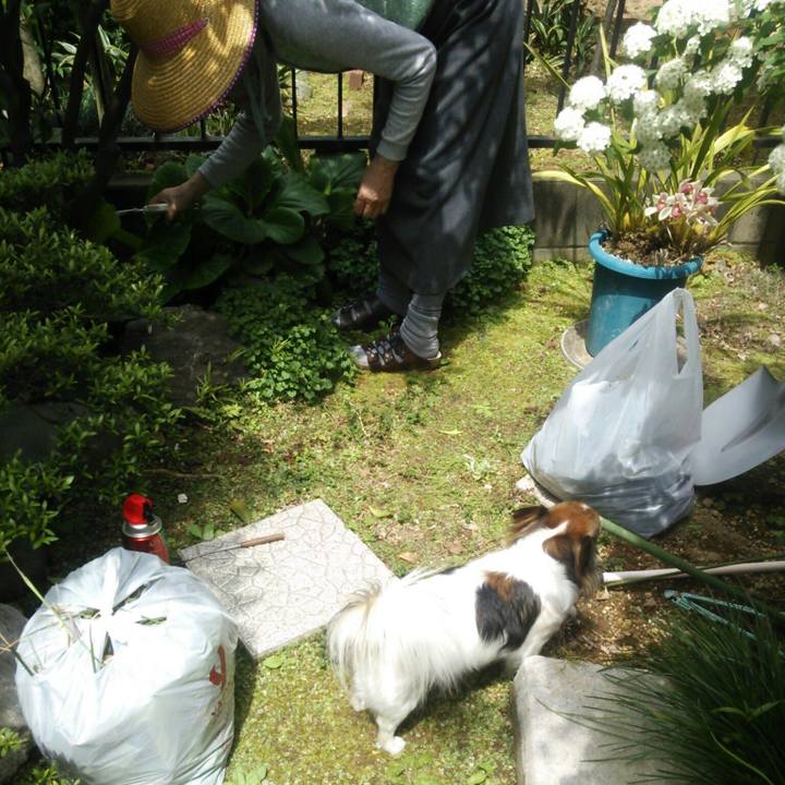 74745136 f883 4fb3 b3f2 65668a5c1672