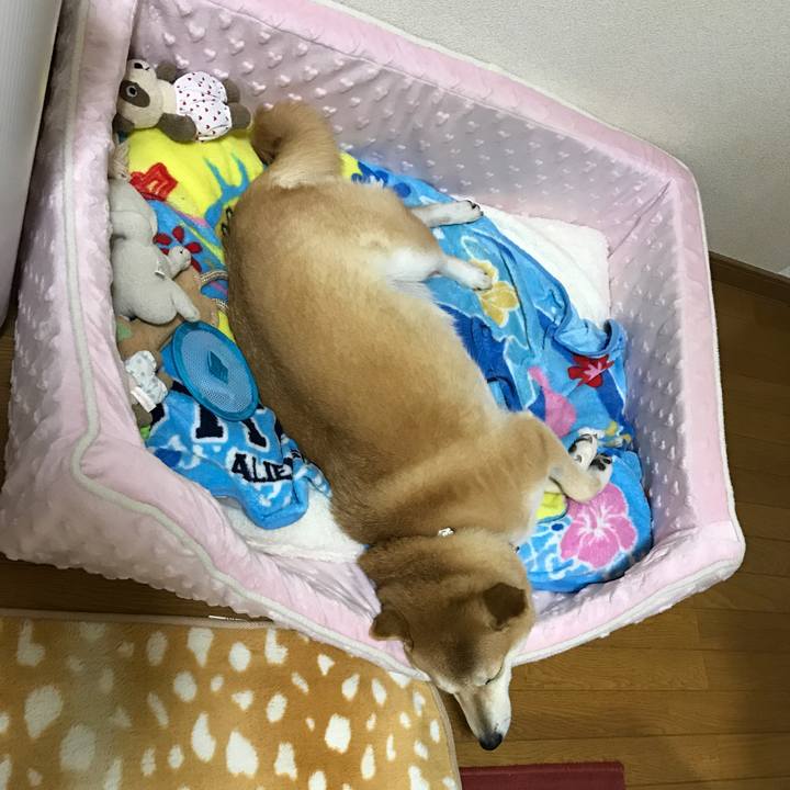 74747309 fae4 4cb6 a1bd 195ae8bb735a