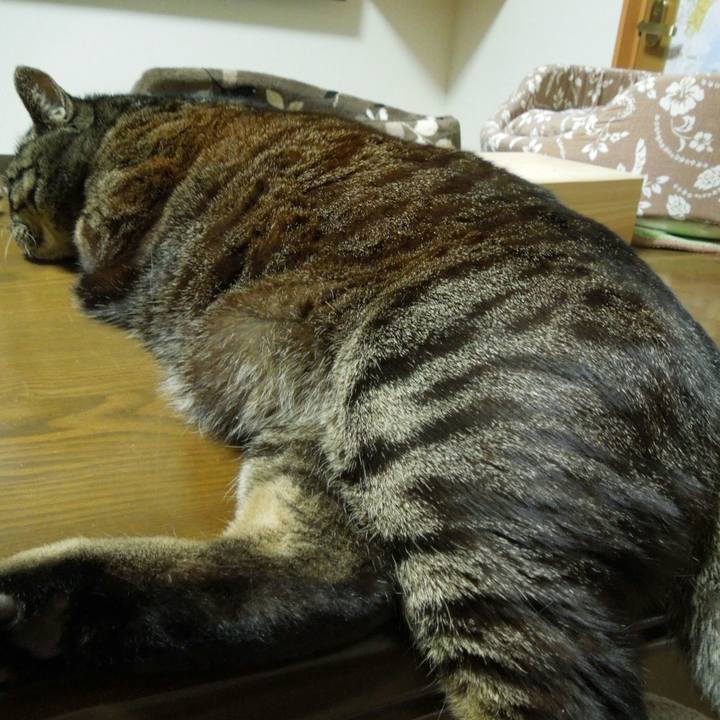 7474b7e5 4bc0 4d4a a86f 746d18ddb203