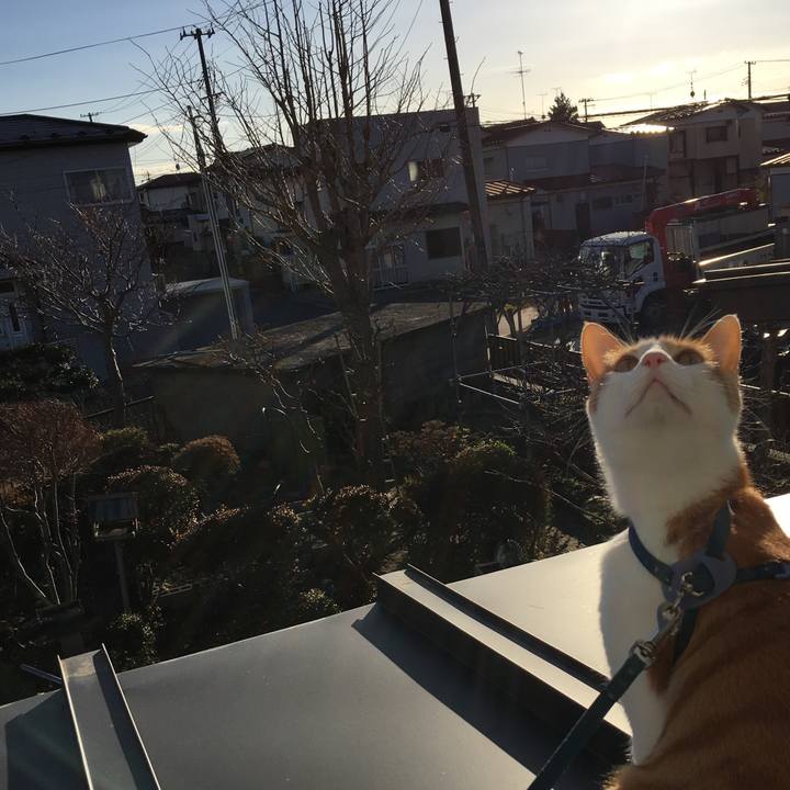 747511d9 611a 47fd 93d8 3b07aac78fcc