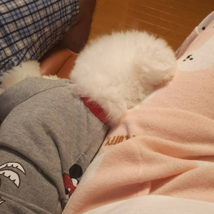 74752478 7037 48a6 973c db4ea9222929