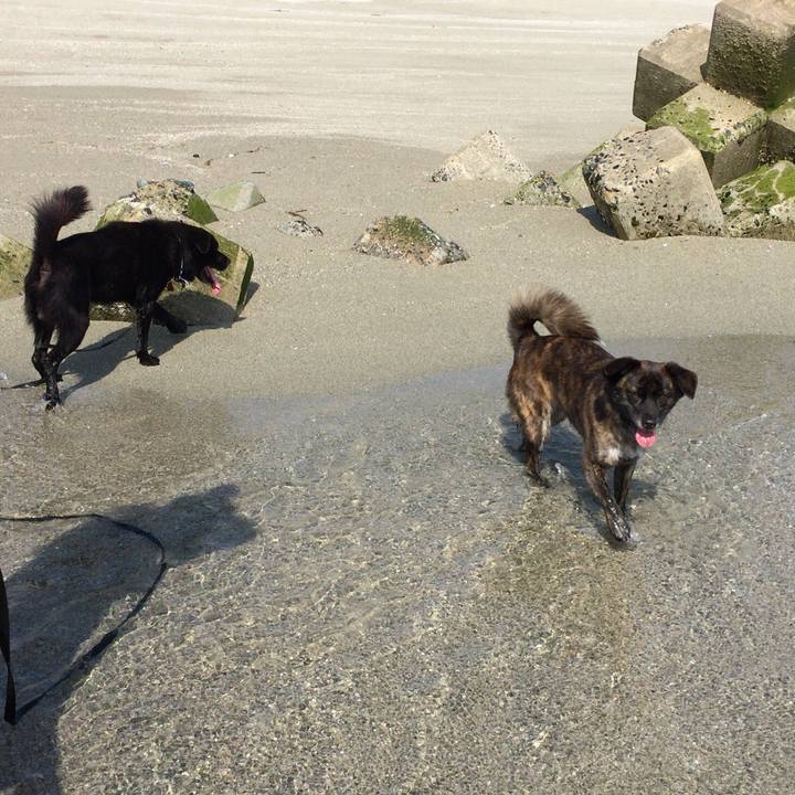 74752b23 e8ce 40f4 a70f 09a05db29c3f