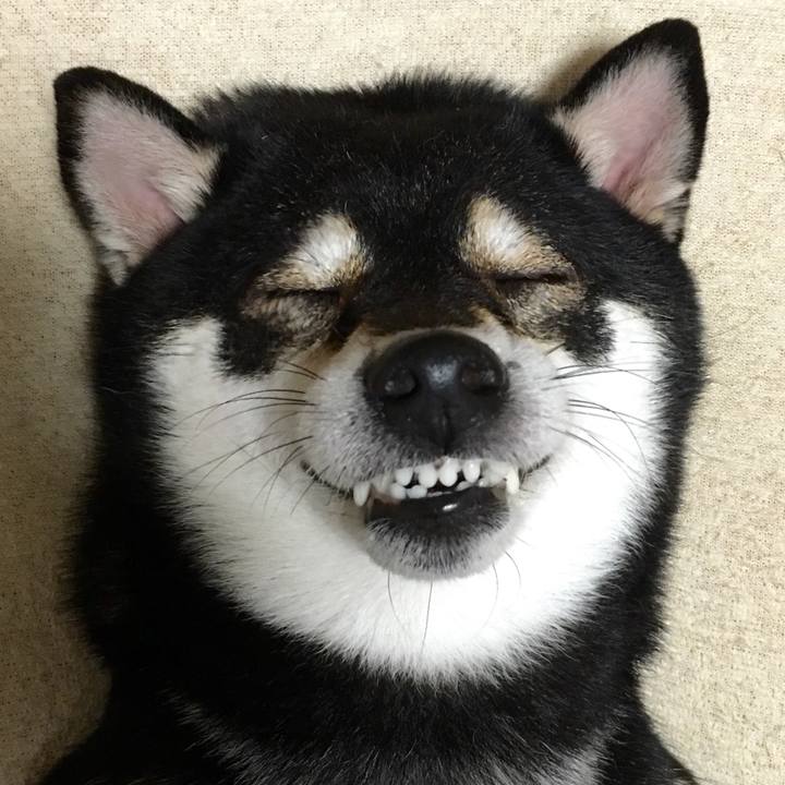 7476040f b774 49ed bd09 40d7f6152cc0