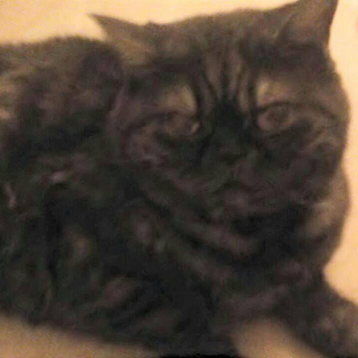 7476f4ed c755 4c87 ad61 7fb9cd9d80ca