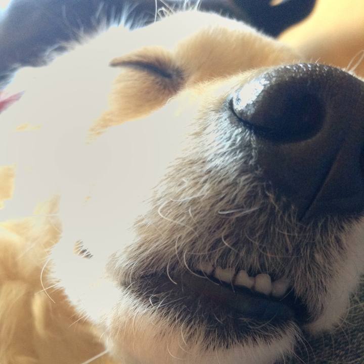 7476fb01 f8e1 4287 94fe 576109c932f8