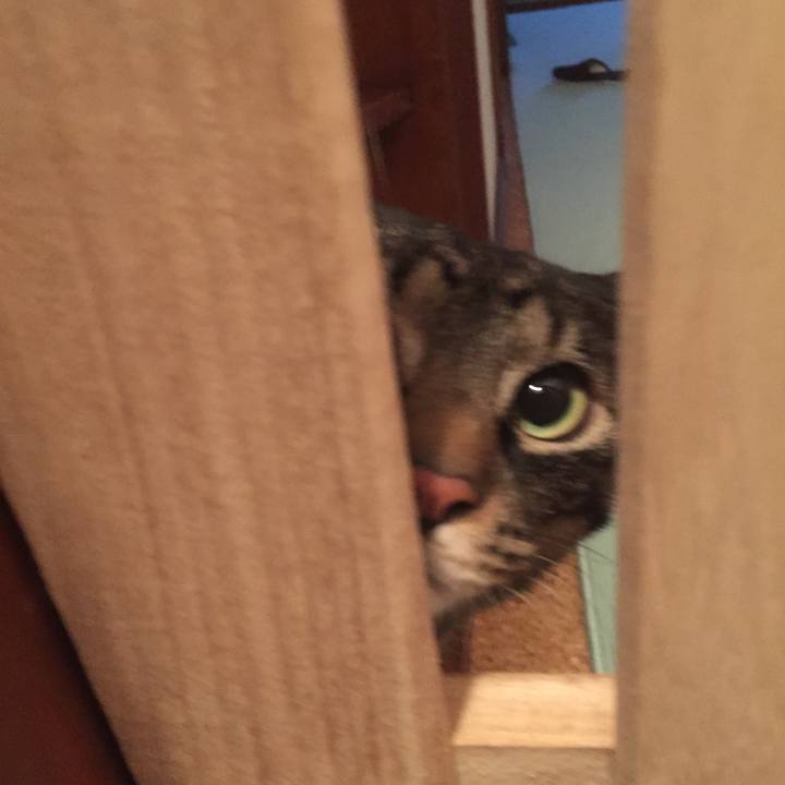 74779119 d87e 4189 a7c4 979546be750d