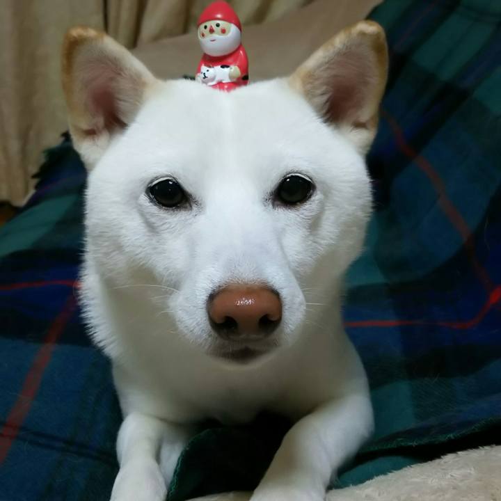 7477bbeb c5a3 4a89 9e9b 0932f59b1e0a