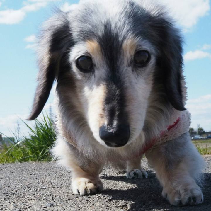 74782878 bf78 4e49 96c9 a1f179764644