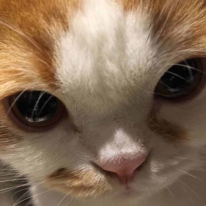 747859e4 e2f7 4486 af53 ed6093876fcd