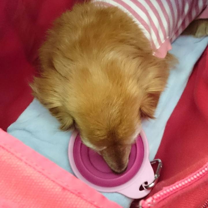 74791d50 9198 4529 a34e f05fe7b74034