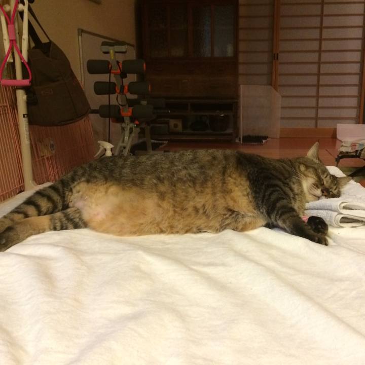 747969c1 c8d0 4185 9a7d 7ce620f983ed