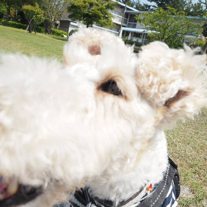 747996d8 a122 49c8 a597 047a6d8d4065