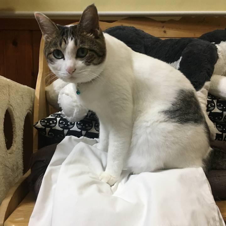 7479ce93 b046 44b1 bdb1 d3b2169e65c3