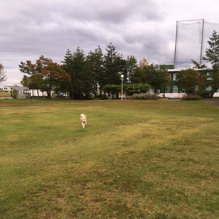 747a9b92 9739 4ce9 a1fb 76b9599f0bf5