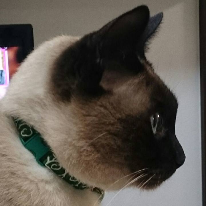 747a9baf b1b0 4f12 a7c3 5b622631cd2f