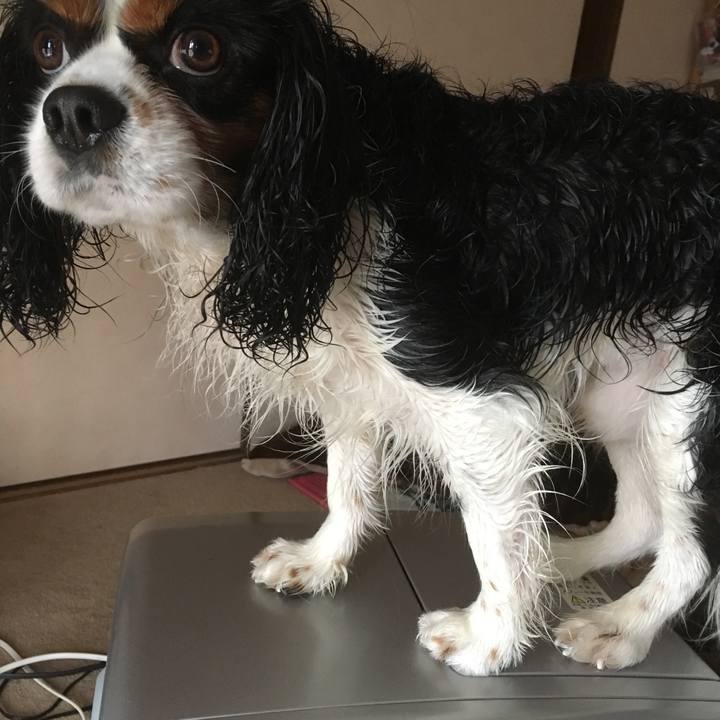 747b88d8 7527 4eeb 8887 fc3239ca781a