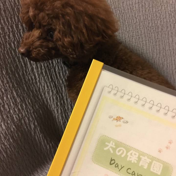 747be7a0 2b6e 4e2d af3b 310dd7894c65