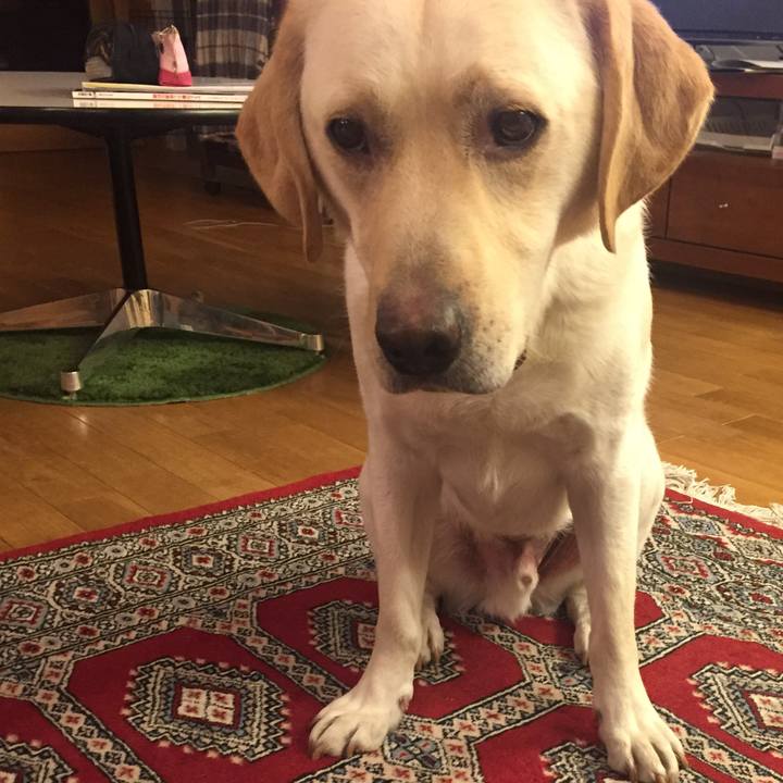 747c30a7 3c1d 4be6 8800 0e42a41eac4c