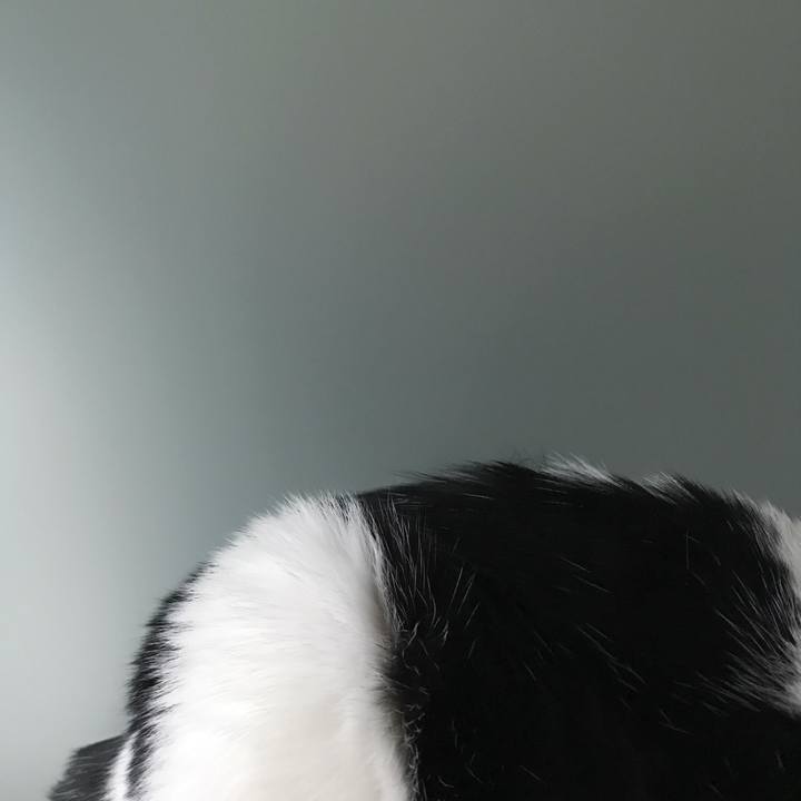 747cb946 3b7b 4d9a a491 1c0ba46af5f0