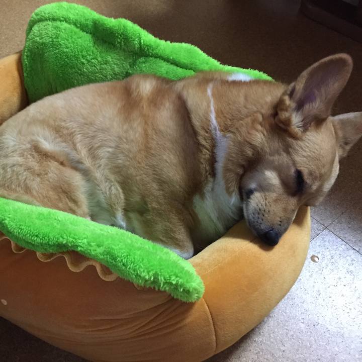 747cfb79 f1d0 49dd 9ad9 5b34e84fbc65