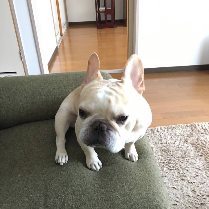 747d308b 71e8 48d5 9561 99799201cfab