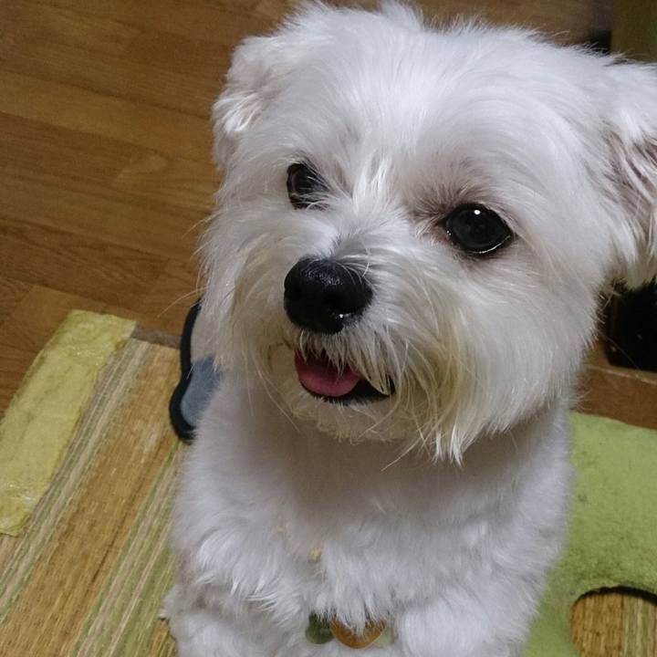 747d57a7 e87c 4e42 bc3e 1d3463dd08ad