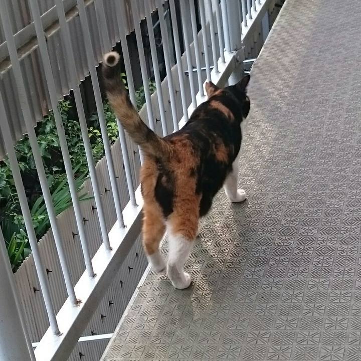 747d57d0 1581 4c25 aaab 90bb79be0950