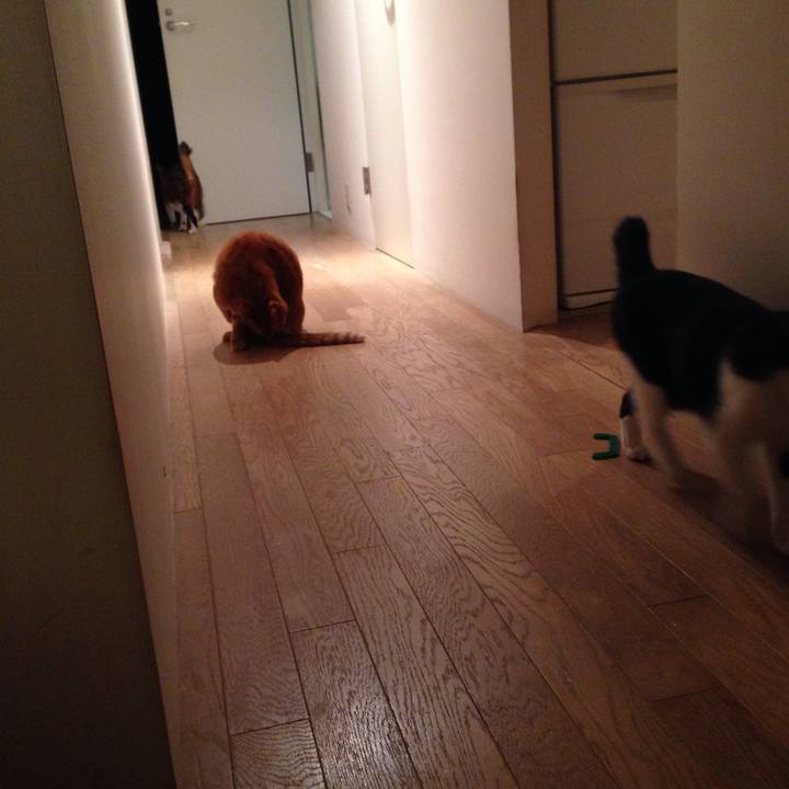 747d7b89 e541 47f8 868a 1c20af32fcca