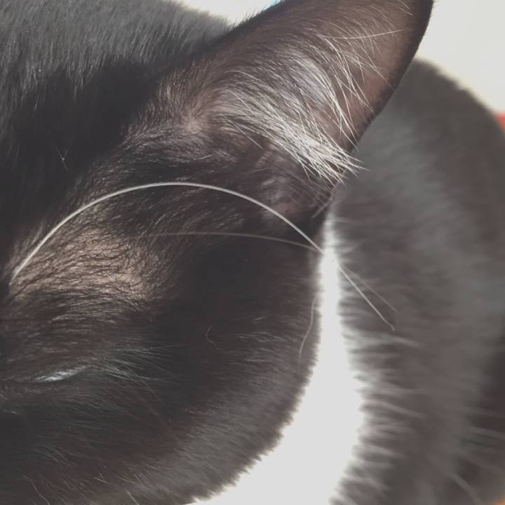 747da62e f0a6 45cc 84cf 39fd60a6584d