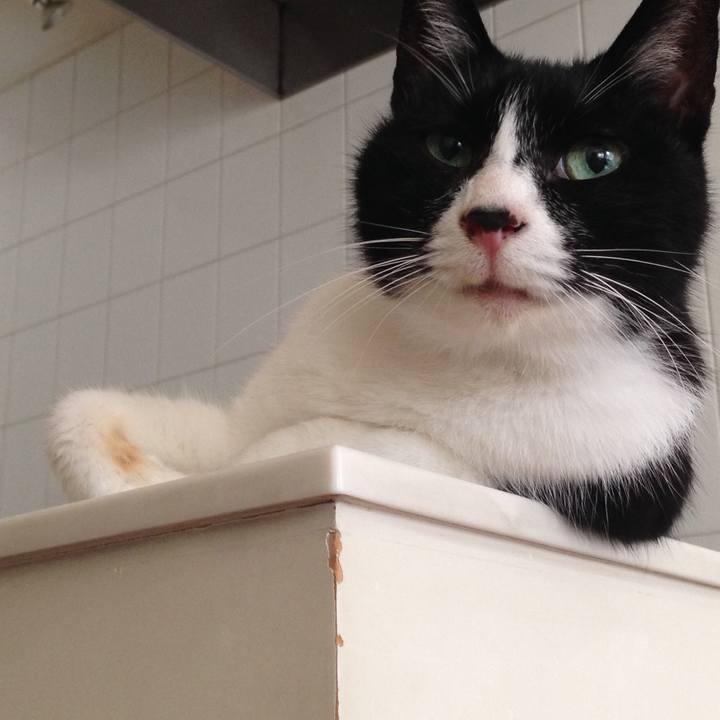 747e8a4f f144 49da 9fdc 388f7a993f39