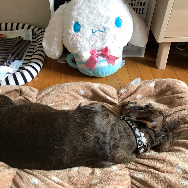 747eef48 9569 446e 96c1 b20d052a97fa