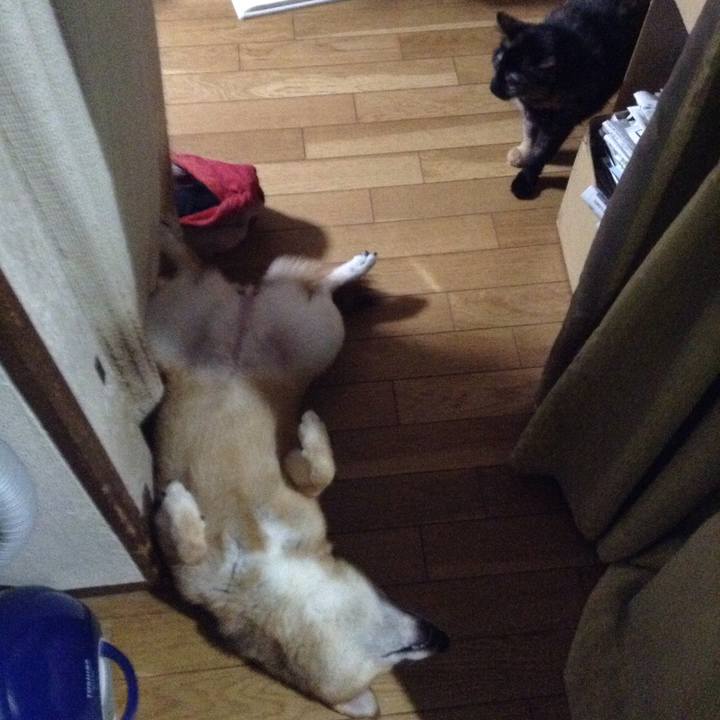 747f25fe 2bcf 46e3 823b f05a89f70f6d