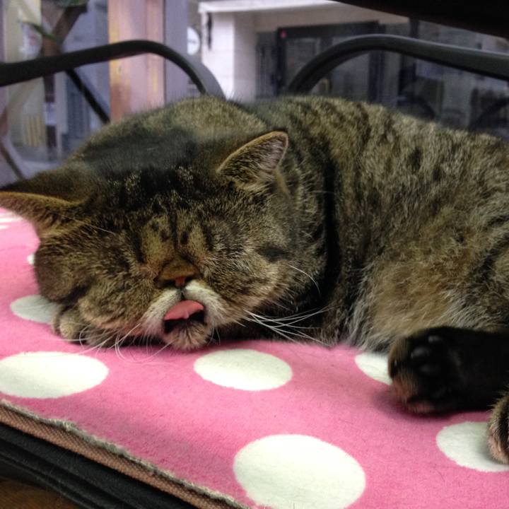 7480538e 8486 47a5 8353 78642ba524a2