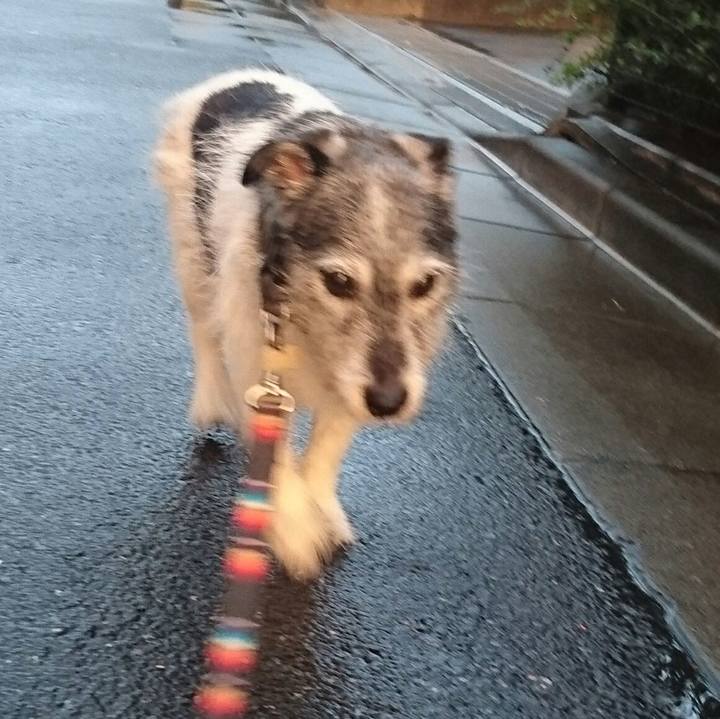 748060c4 de20 49e8 a294 3c2064c14f22