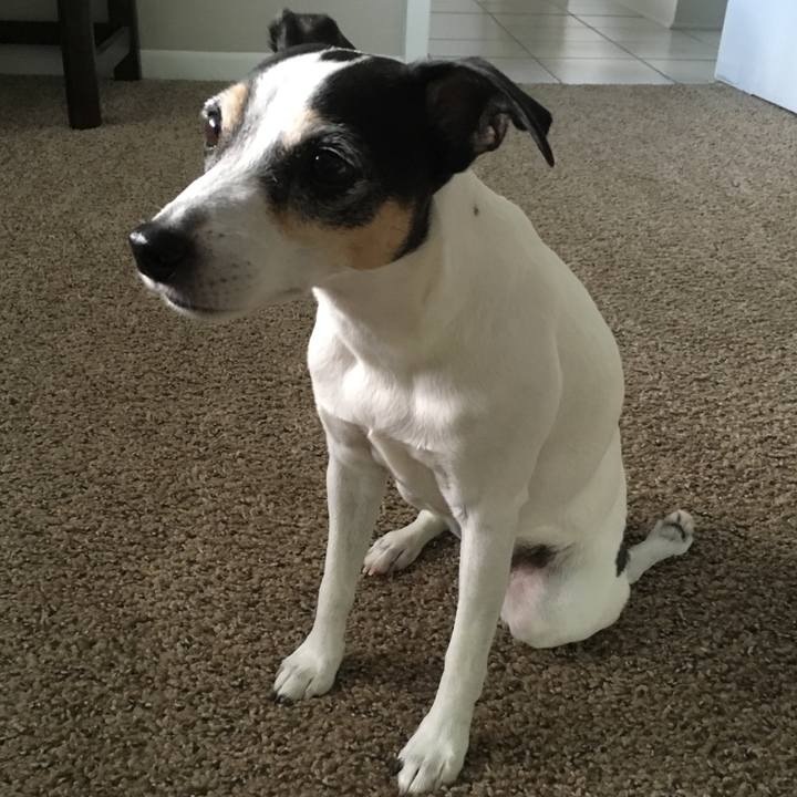 74806e96 f9be 4ec7 a875 f37bbbb28bef