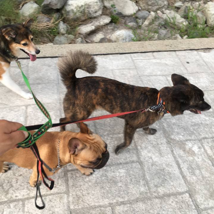 7480a1fc 5680 4969 9618 69fccb199193