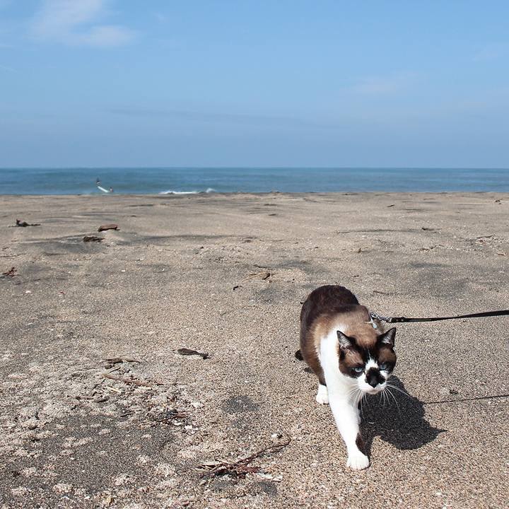 7480d258 873f 4d30 ae97 bd6b68863e57