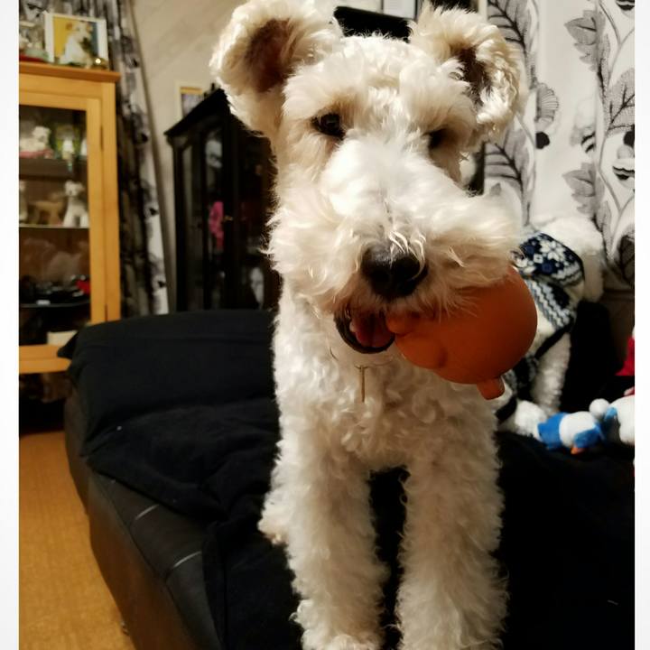 7480d7fd 7198 4744 b950 19fef08f7c33