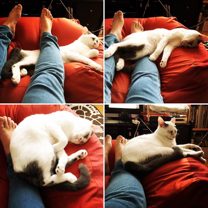 7481ee00 7c39 43d7 bf93 18533274bc9a